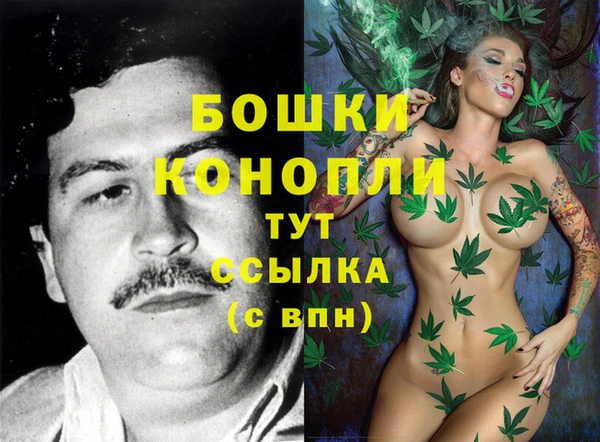 соль ск Нефтегорск