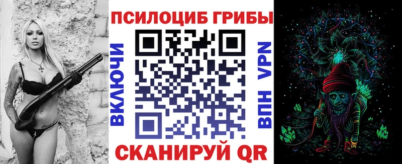 blacksprut как войти  Нахабино  Галлюциногенные грибы Psilocybine cubensis 